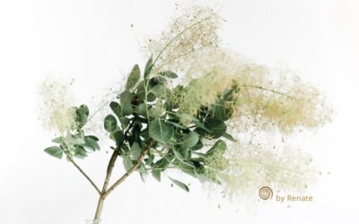 Ich hätte so gerne eine Beziehung