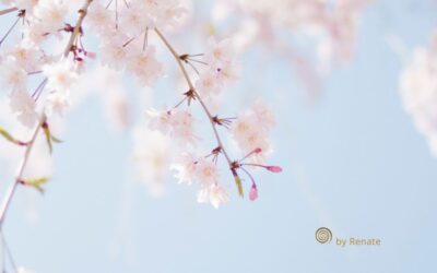 Muss ich wirklich alles fühlen?