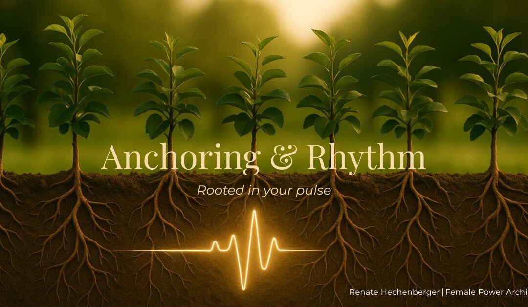 Anchoring & Rhythm: Beyond the Trellis