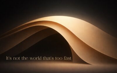 Nicht die Welt ist zu schnell.